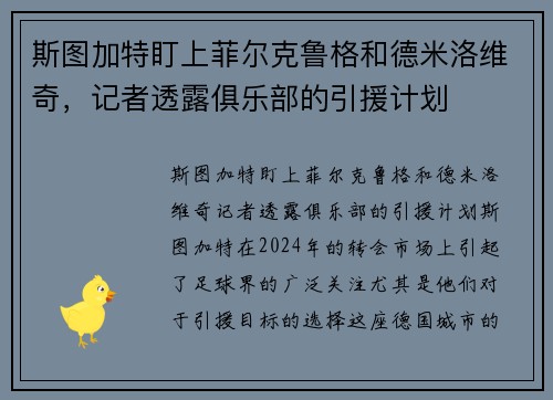 斯图加特盯上菲尔克鲁格和德米洛维奇，记者透露俱乐部的引援计划