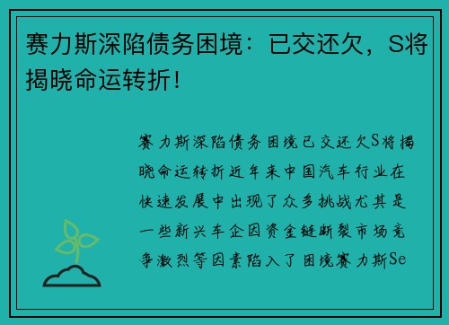 赛力斯深陷债务困境：已交还欠，S将揭晓命运转折！