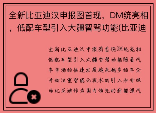 全新比亚迪汉申报图首现，DM统亮相，低配车型引入大疆智驾功能(比亚迪汉2022全新)