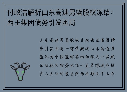 付政浩解析山东高速男篮股权冻结：西王集团债务引发困局